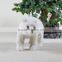plush animal toy Teddy bear promotional christmas gifts items