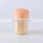 2016 NEW product plastic bottle packed toothpick in bulk