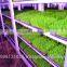 StarMax Hydroponic Barley Fodder Machine / Green Fodder / Hydroponic Machine For Barley