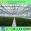 commercial tunnel plastic light deprivation Greenhouse Used for Sale