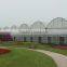 Factory Price Multi Functional Polythene Film Greenhouse For Vegetables/Fruits/Hydroponics