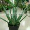 SJ30048946 Plastic asparagus plant/ artificial cactus plant for landscaping