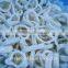 High Quanlity Frozen Squid Ring