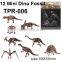 Magic Mini Dinosaur Fossil Toys for Kids