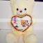 Teddy Bear Plush Toy Valentine's Day Gift