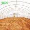 Agricultural Greenhouse& Multispan Tunnel Greenhouse for strawberry grape raspberry