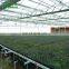 Commercial Agricultural Greenhouse Movable Nursery bench