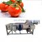 fruit and vegetable surf bubble cleaner Tomato Washer Equipment Shrimp Date Leafy Vegetable And Fruit Washing Machine