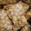 Fresh potato