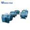 JR series high voltage electrical motor