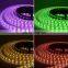 12V 24V 5M 5050 RGBW 4 in 1 Chip RGBW RGBWW  LED Strip Light Waterproof Lamp