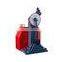 Dial Type Charpy Metal Impact Testing Strength Tester Usage tensile testing machine for sale