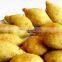 12 Months Warranty Sales Service Provided Kubba Kibbeh Kibbe Coxinha Croquette Churros Machine With Low Price for Sale