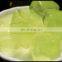 Fresh Diced Aloe Vera/100% Natural Fresh Aloe Vera Leaves/Aloe Vera have amazing proprieties from Vietnam