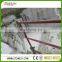 low price Counter White granite, grey granite kerbstone