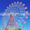 China professional manufacturer thrill amusement theme park  rides ferris wheel for sale