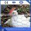  China Hexagonal Wire Mesh Aviary Cage Wire Mesh Aviary Panels
