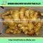 Agricultural product - air dried ginger ,various size