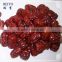 supply natural dried red date