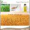 pure and nature wheat germ oil for health care