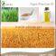 Wheat Cold Press Germ Oil in Herbal Extract