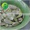 Hot Sale Products Pumpkin Seeds Kernels With Good Price