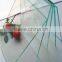 wholesale classical colorful PVC plastic photo frame 4x6 5x7 6x8 8x10 for decoration
