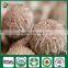 How to Grow Mushroom Shiitake Mushroom Culture Mushroom Plant Growing Kit Log Edible Mushrooms