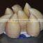 Wholesale Water Bamboo Shoot in can (M grade)