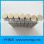 Disc neodymium round Permanent Magnet N35 D12.7x3.18mm