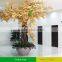 Grc trunk artificial banyan dollar tree wholesale