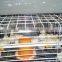 chicken battery cages