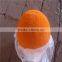 Cleaning Ball