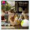 E-co Friendly PP Rainbow Aroma Diffuser for Spa