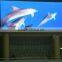 dip p8 led vidio wall led display of high density