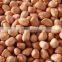 china dried peanut kernel baisha