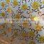acid etched glass