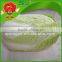 2015 year the good quality fresh Chinese cabbage
