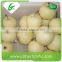 2015 new crop bulk fresh crown pear