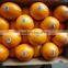 2015 navel orange supplier in china with best price