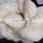 22.7mic 78mm Chinese Combed Wool Top No Dead Fiber