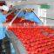 28-30% concentrated canned tomato paste ramo gino tomato paste China factory supplier