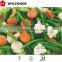 Frozen Mix Vegetables (IQF Beas -IQF peas- IQF Carrots... ...)
