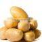 Low Price Fresh Holland Potato