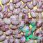 Competitive Price Hot Sale Bulk American Round