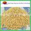 Ace standard fertilizer material dap fertilizer prices