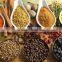 Neweek 1000L tiltable horizontal spice flour mixer