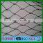 Cucumber Growing Support Net/chicken Fence Net
