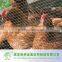 China PVC Coated Hexagonal Wire Mesh Manufacturer