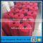 19mm Dongtalent brand water ski PE material rope